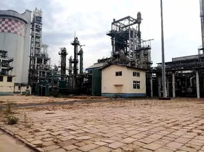 滄州市區(qū)這一大片土地將征收 有四條路和一小學建設項目獲批