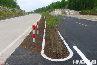 黑土地上勁吹 綠色風(fēng) 黑河綠色農(nóng)業(yè)發(fā)展見聞
