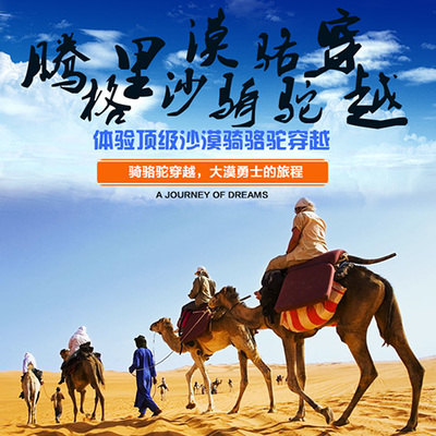 整合資源，打造專業旅游服務新生態